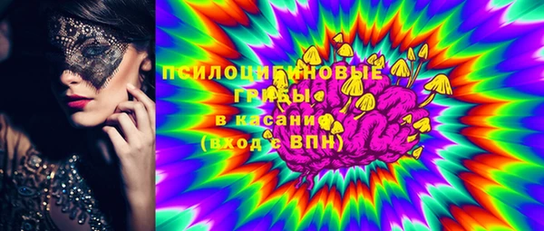 стафф Аркадак