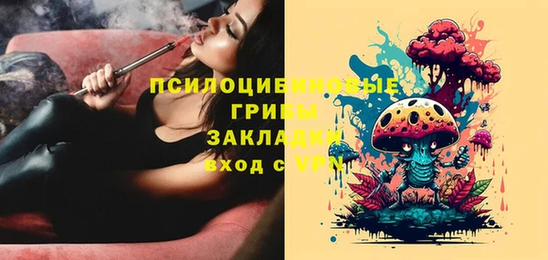 мяу мяу мука Армянск