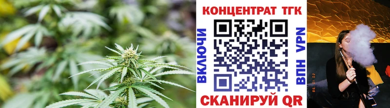 ТГК вейп  Купить закладки  Новая Ладога 