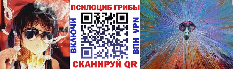 Купить  Новая Ладога  Псилоцибиновые грибы мухоморы 